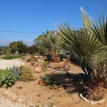 别墅 With Pool, Near Beach - Algarve 珀彻斯